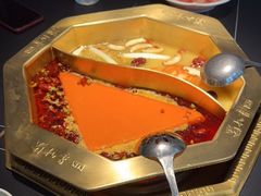 -蜀九香火锅(彩虹店)