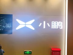 -小鹏汽车体验中心(苏州龙湖狮山天街店)