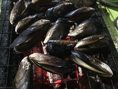 -小象钓虾·营地烧烤(洛溪店)