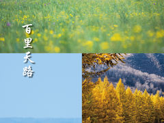 -云中草原