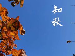 -北京西山国家森林公园