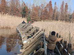 -溱湖国家湿地公园