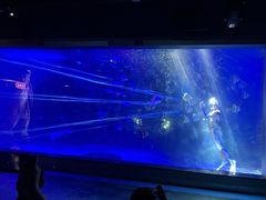 -顺德南宏海立方海洋公园
