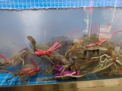 -徐记小怪兽肉蟹煲店(哈西万达金街店)