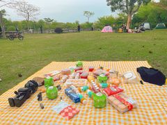 -聚龙山公园
