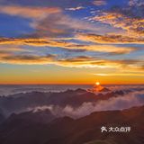 天上花海