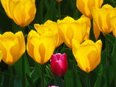 -北京植物园南门售票处