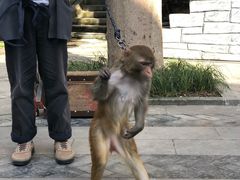 -南津关古镇