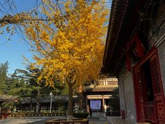 -法门文化景区