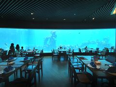 -海棠湾洲际-涛·海底餐厅·美人鱼·自助餐·海底隧道