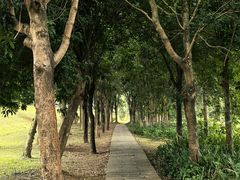 -福建鲤鱼洲酒店