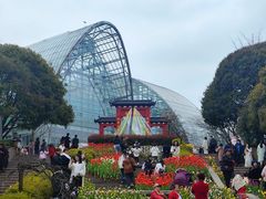 -南山植物园