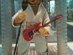 -济州岛泰迪熊博物馆