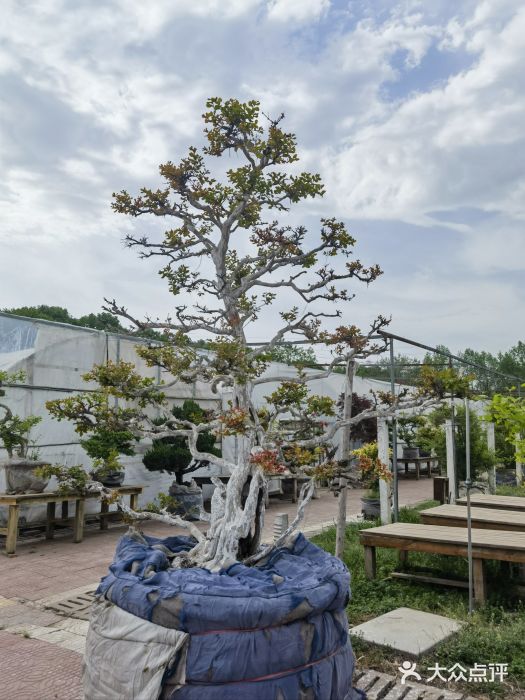 西部兰花园生态园图片