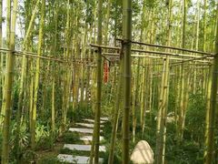 -武清南湖绿博园