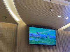 -蝎王府羊蝎子(西直门店)