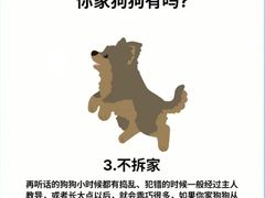 -瑞派天使宠物医院·神经外科·骨科·核磁(洛川中路店)