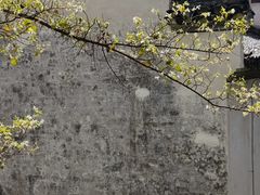 -潜口民宅博物馆