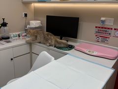 -御宝贝24h宠物医院·转诊中心·CT核磁血透中心(厦门总院)