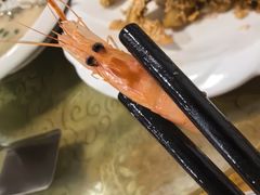 -水上鱼当家