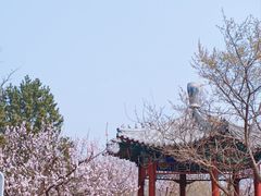 -北京凤凰岭