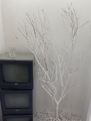 -星宝贝儿童摄影