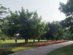 -聚龙山公园