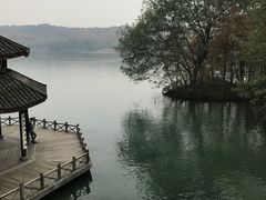 -西院1号(龙井店)