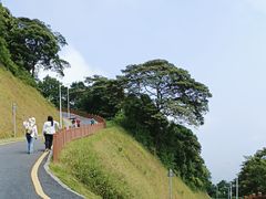 -黄埔油麻山森林公园