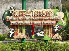 -石排湾郊野公园