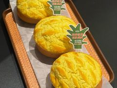 -羽鸽集·乳鸽专门店·地道顺德菜(岭南站店)