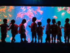 -全优加早教托育园(金海岸店)