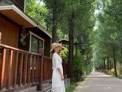 -林栖谷森林康养度假区