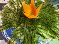 -越海渔村