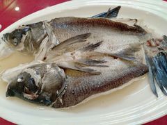 清蒸鱼-清心鸡沙田乳鸽店·非遗传承(粤垦路店)