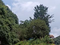 -高荡千年布依古寨旅游景区