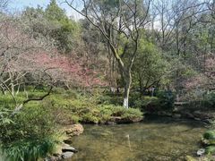 -杭州半山国家森林公园