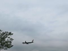 -空港花田景区