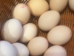 -牛New寿喜烧(金鹰世界店)