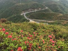 -大围山国家森林公园