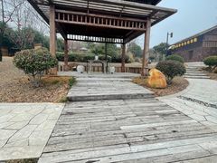 -东海森林温泉