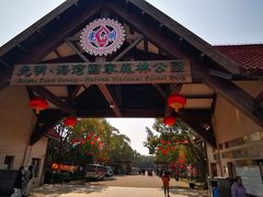 -上海海湾国家森林公园