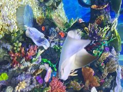 -成都浩海立方海洋公园