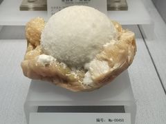 -湖南省地质博物馆