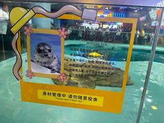 -哈尔滨极地公园