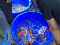 -华声天桥民俗文化园