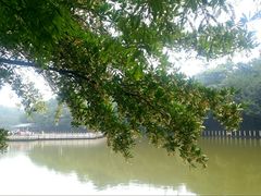 -西樵山风景名胜区-天湖公园