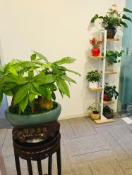 -玲珑秀身坊