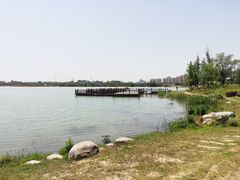-官亭林海