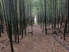 -穹窿山景区